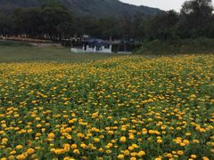 -大连铭湖国际观光牧场