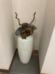 -圣梦亲体美肤生活馆