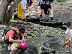 -成都市活水公园