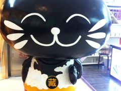 -藏猫猫咖啡主题馆(中央大道店)