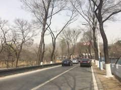 -京北渔家傲