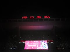 -海口东站