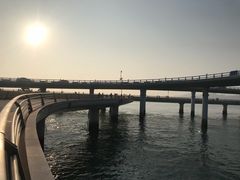 -演武大桥观景平台