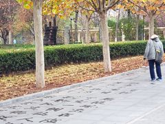 -丰台花园