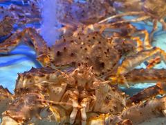 -阿伟海鲜楼·福建菜(延寿店)