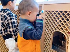 -嘉定民办实蒙早教中心