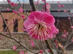 -会稽山峡洞漂流-上青古道
