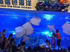 -成都浩海立方海洋公园
