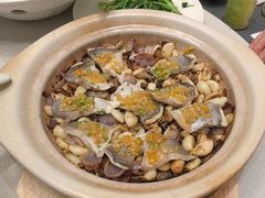 -新吉士·上海菜(浦东LCM置汇旭辉店)