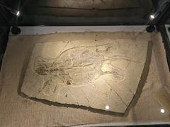 -房山世界地质公园博物馆