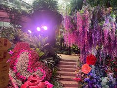 -正佳雨林生态植物园