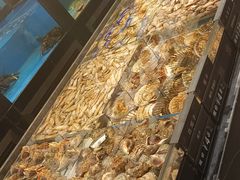 -百富源·海鲜辽菜(和平北大街店)