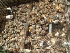 -海鲜e族(马王堆店)