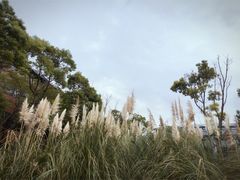 -上海滴水湖皇冠假日酒店