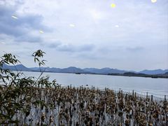 -湖畔居茶楼(湖滨店)