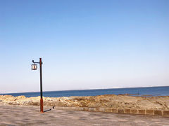 -刘家湾赶海园