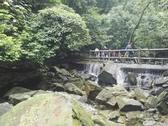 景点-鼎湖山风景区