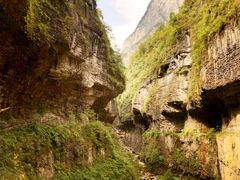 -鹿院坪生态旅游景区
