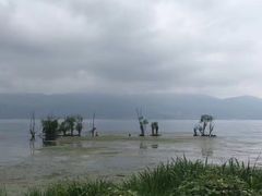 -寂照庵