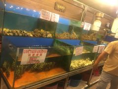 -真浪花园海鲜餐馆
