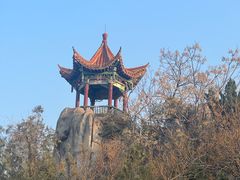 -中国翰园碑林