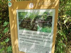 -十九峰景区