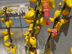 -鹿岛生活(熙地港店)