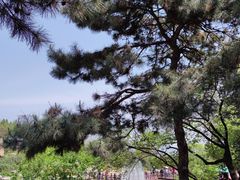 -北京西山国家森林公园