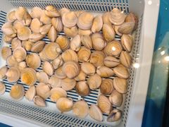 -郭姐·威海渔村(黄兴路店)