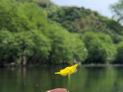 -鹿亭中村