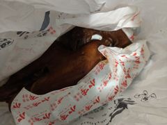 -小李烧鸡(西北角总店)