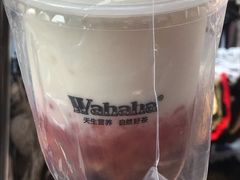-娃哈哈·奶茶(武林店)