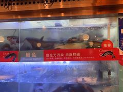 -三江源活鱼现烤(维多利摩尔城店)