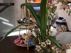 -施奈儿.洗头頭療.按摩SPA.采耳(上梅林店)