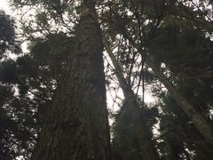 -井冈山风景名胜区-黄洋界