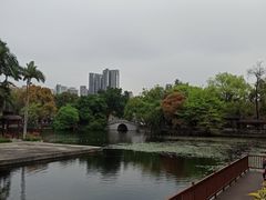 -荔湾湖公园