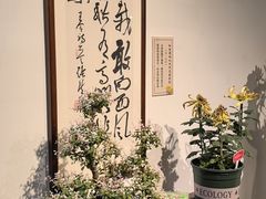 -迎泽公园