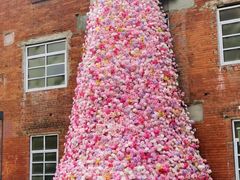 -游心咖啡(青山红坊店)