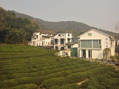 -灵顺寺