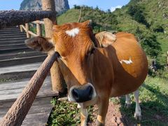 -天龙顶山地公园