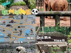 -杭州动物园