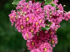 -杭州城北体育公园