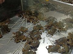 -都斛海鲜街