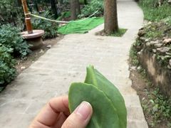 -云丘山景区
