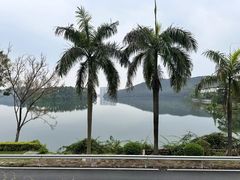 -广东花都香草世界旅游度假区