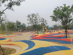-东郊湿地公园