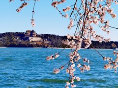 -颐和园
