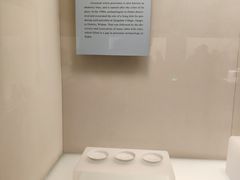景点-湖北省博物馆