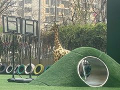 -天津蜂巢幼儿园·托育
