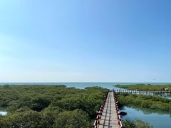 -北海金海湾红树林生态旅游区